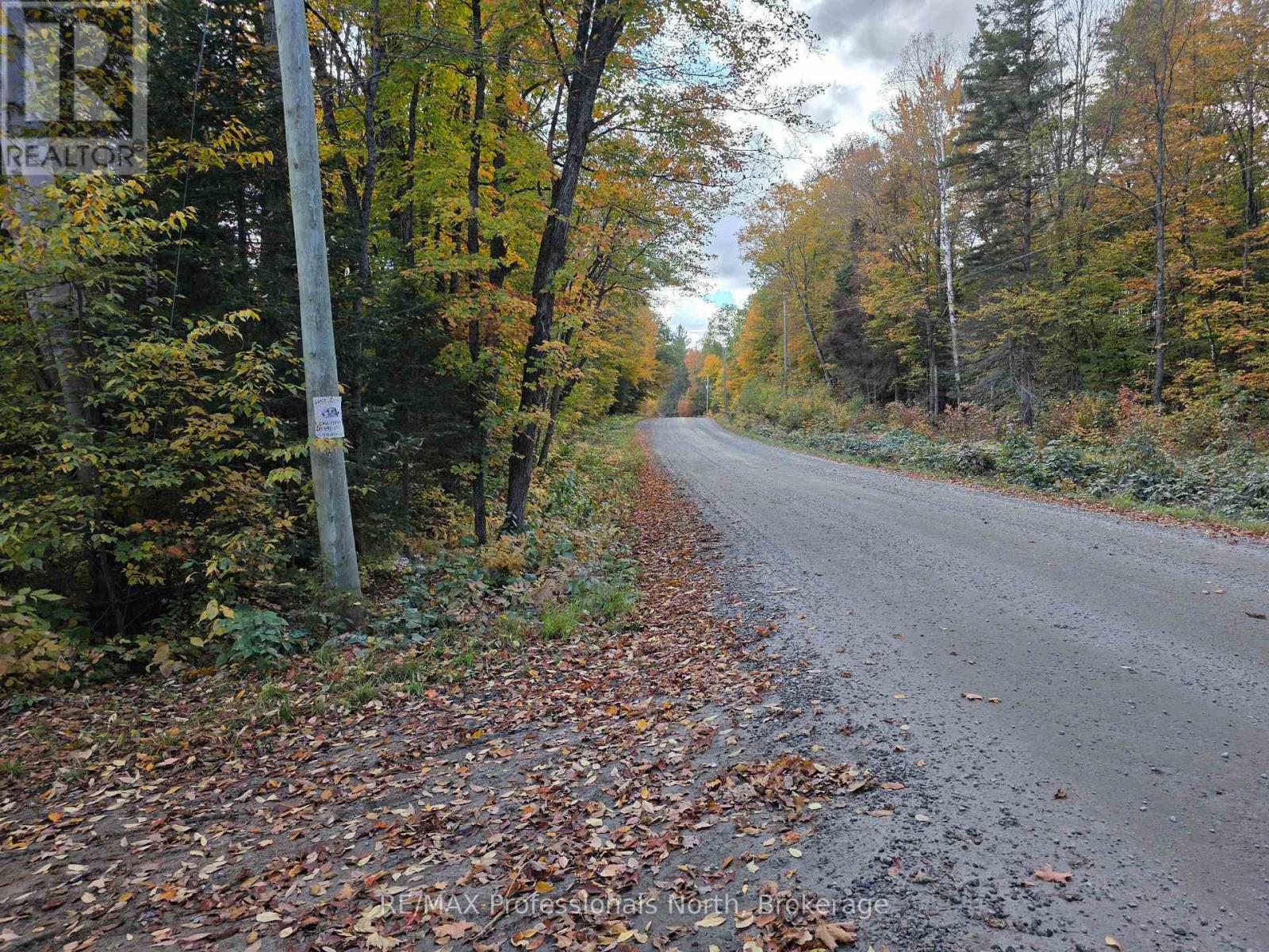 3907 Stisted Road, Mcmurrich/monteith, Ontario  P0A 1Y0 - Photo 3 - X13856338