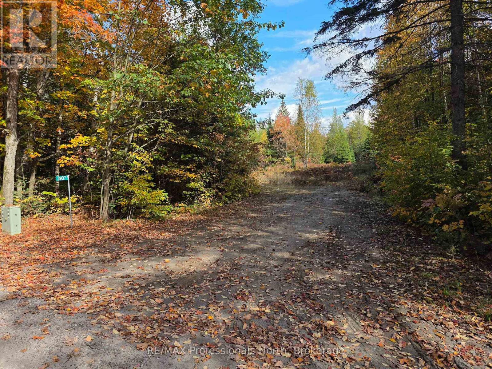 3907 Stisted Road, Mcmurrich/monteith, Ontario  P0A 1Y0 - Photo 4 - X13856338