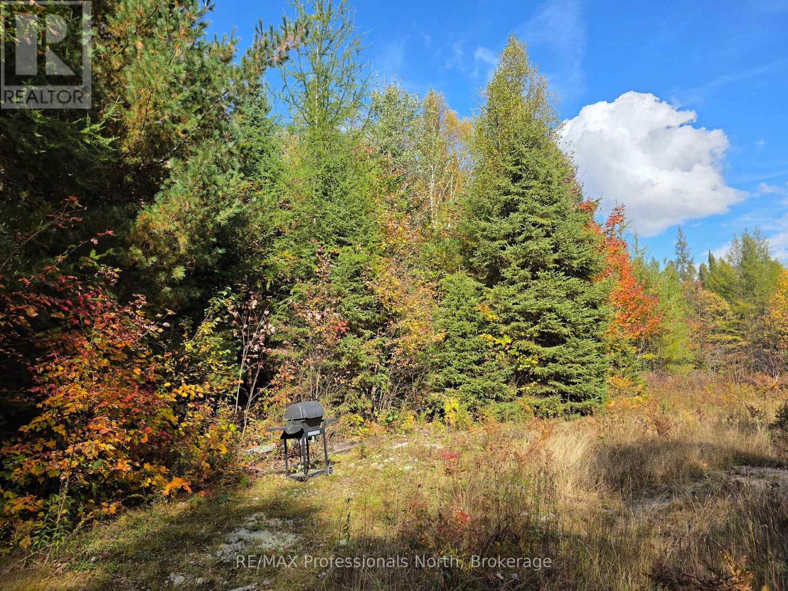 3907 Stisted Road, Mcmurrich/monteith, Ontario  P0A 1Y0 - Photo 6 - X13856338