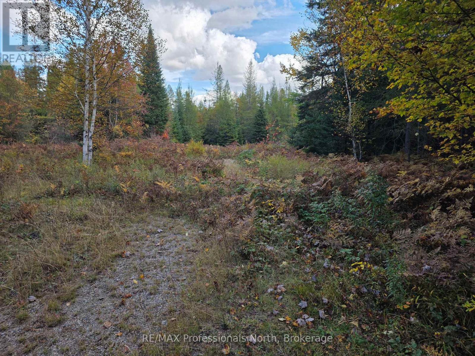 3907 Stisted Road, Mcmurrich/monteith, Ontario  P0A 1Y0 - Photo 8 - X13856338