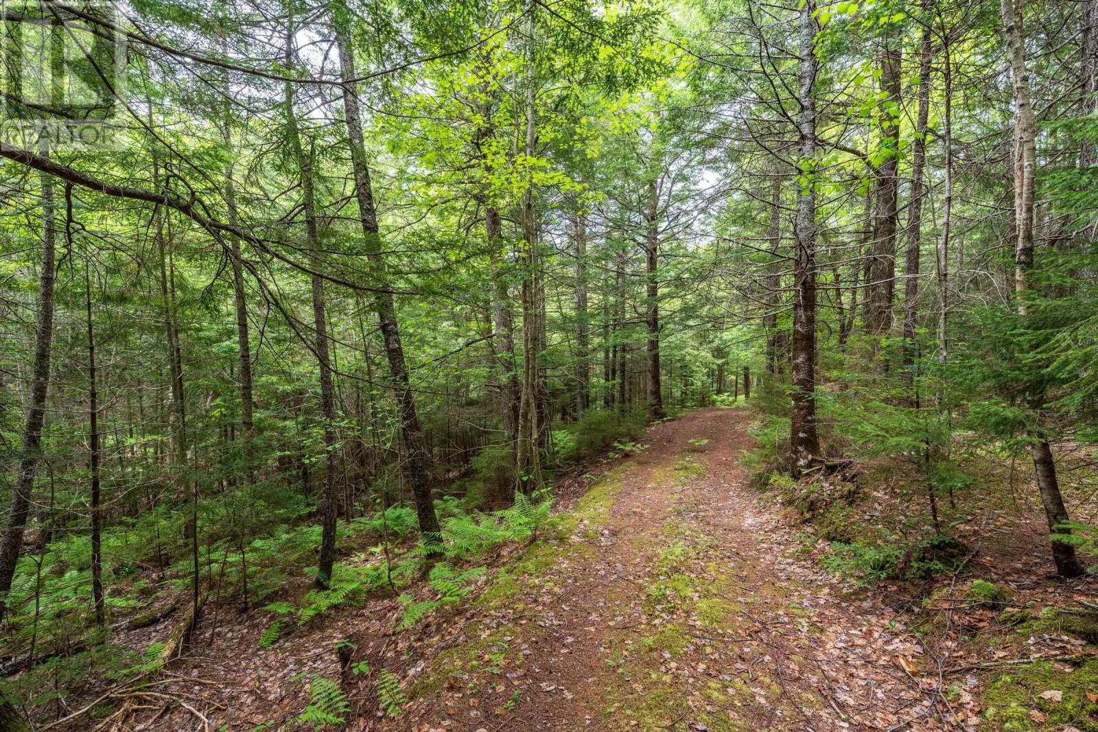 7466 201 Highway, South Williamston, Nova Scotia  B0S 1M0 - Photo 47 - 202624640