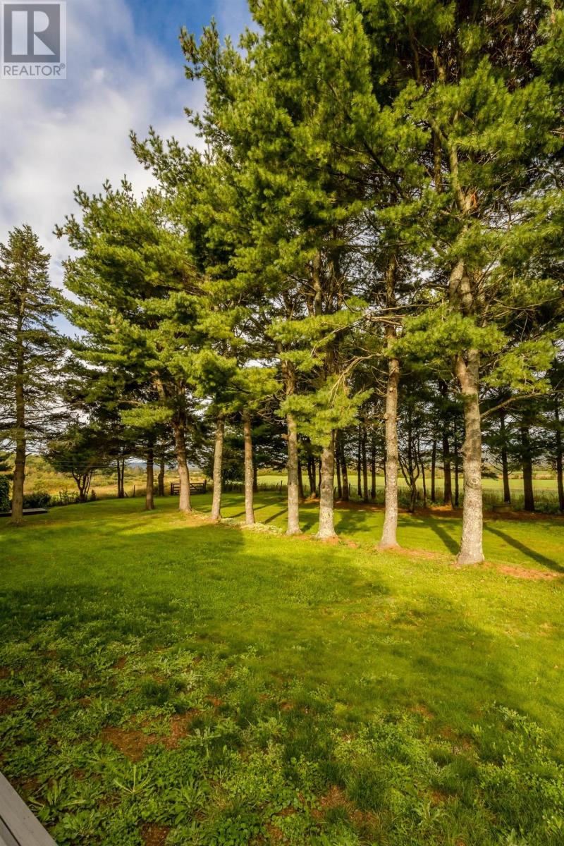 1303 Highway 201, Round Hill, Nova Scotia  B0S 1A0 - Photo 45 - 202625018