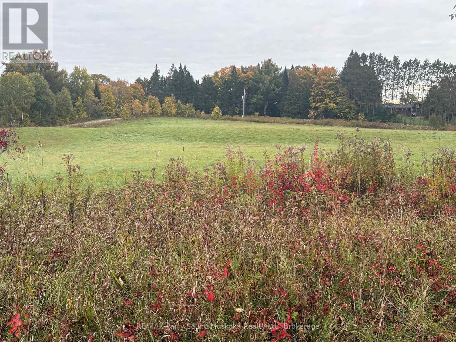 Lot 18 Concession 3 Street, Seguin, Ontario  P2A 0B2 - Photo 8 - X13856590