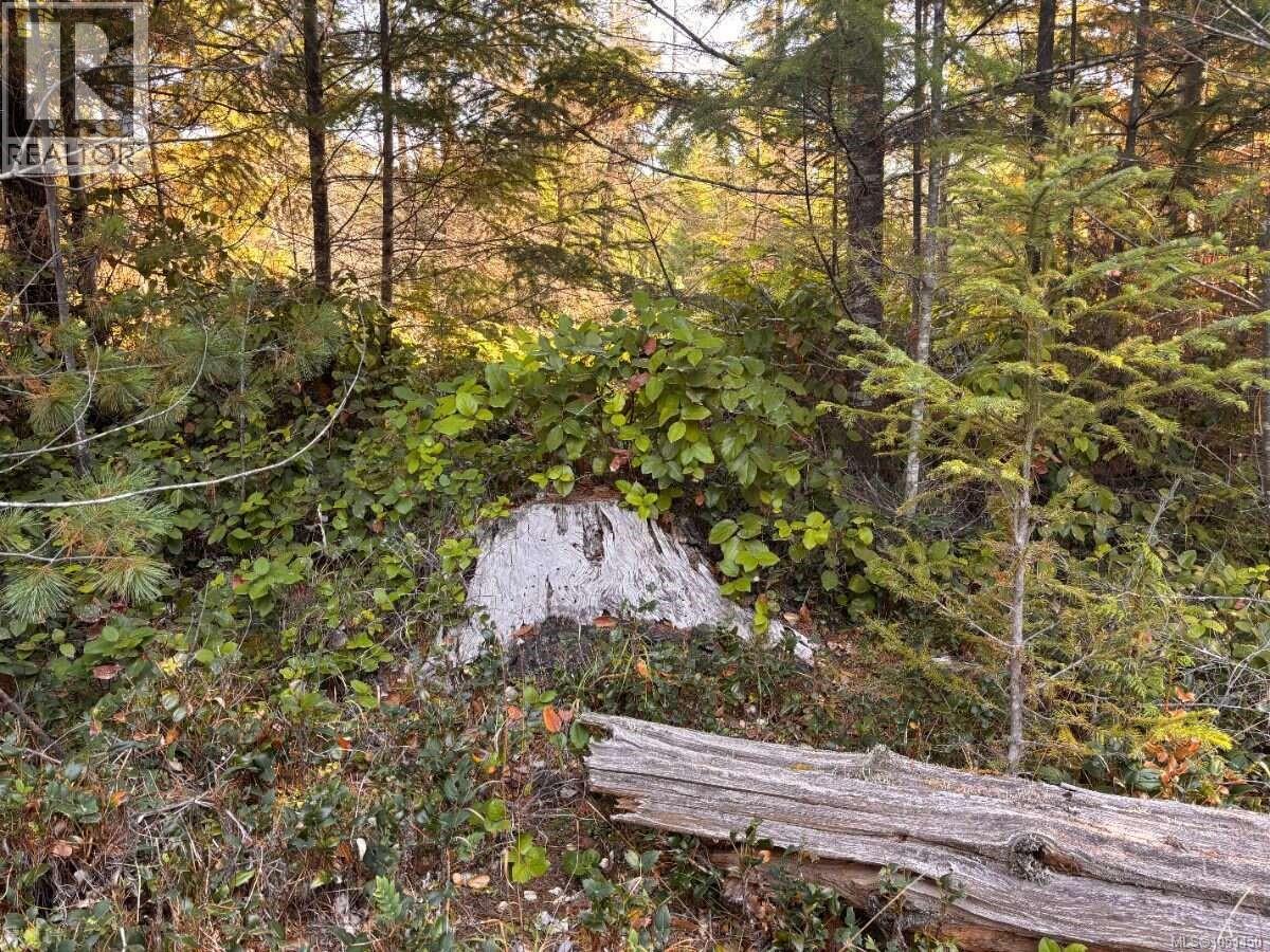 Lot B 6876 Danes Rd, Denman Island, British Columbia  V0R 1T0 - Photo 10 - 1051450