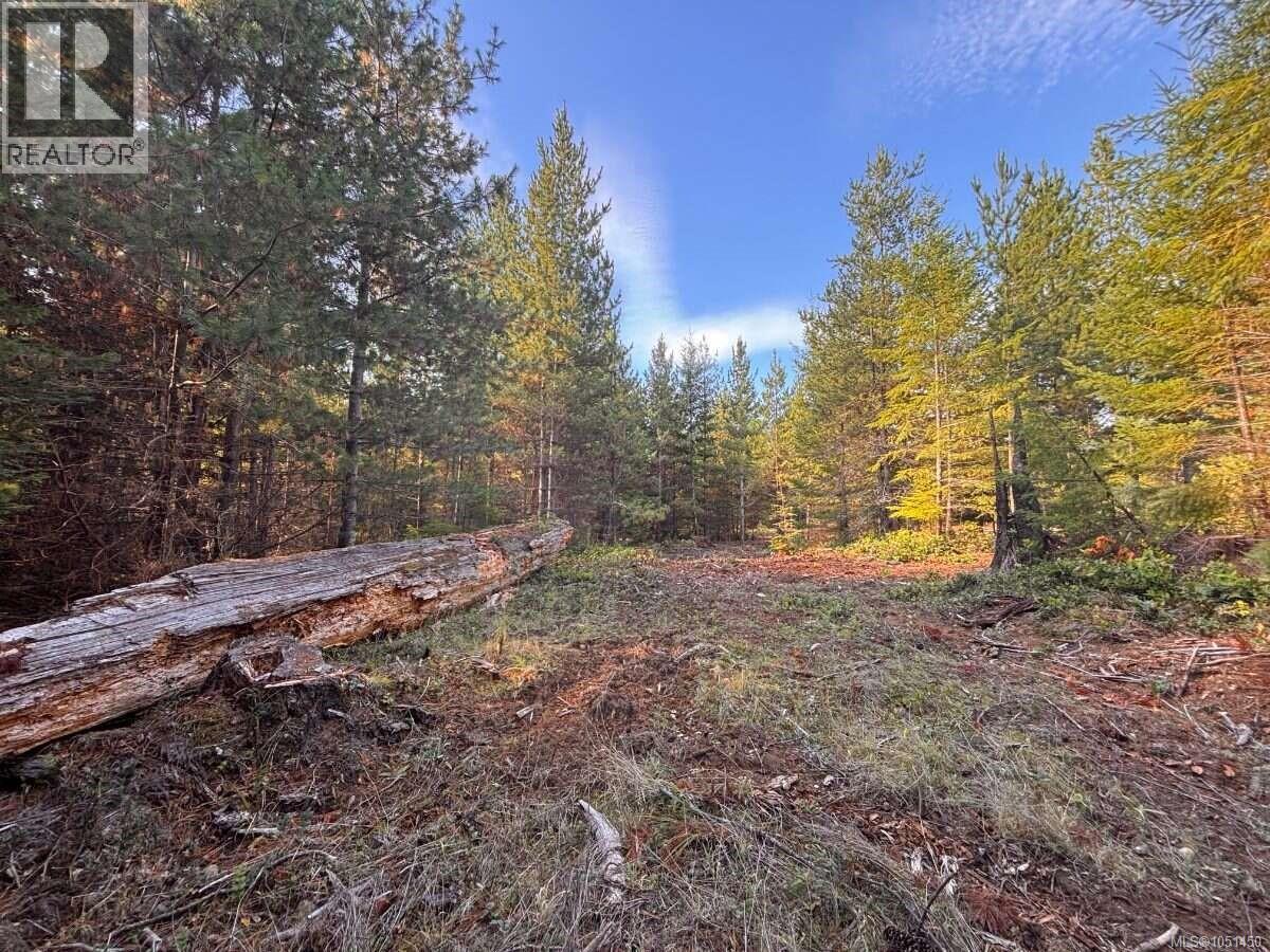 Lot B 6876 Danes Rd, Denman Island, British Columbia  V0R 1T0 - Photo 11 - 1051450