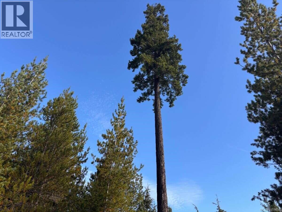 Lot B 6876 Danes Rd, Denman Island, British Columbia  V0R 1T0 - Photo 15 - 1051450
