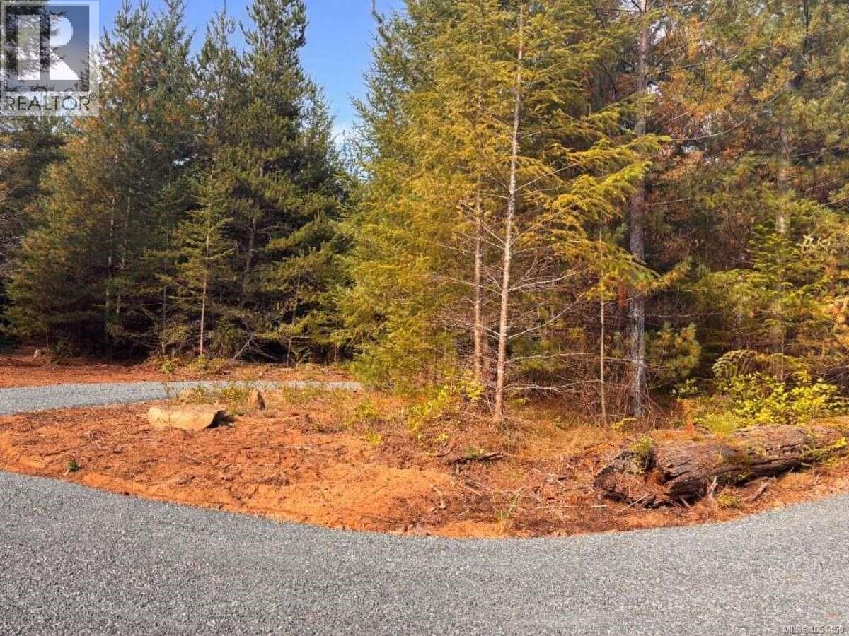 Lot B 6876 Danes Rd, Denman Island, British Columbia  V0R 1T0 - Photo 3 - 1051450