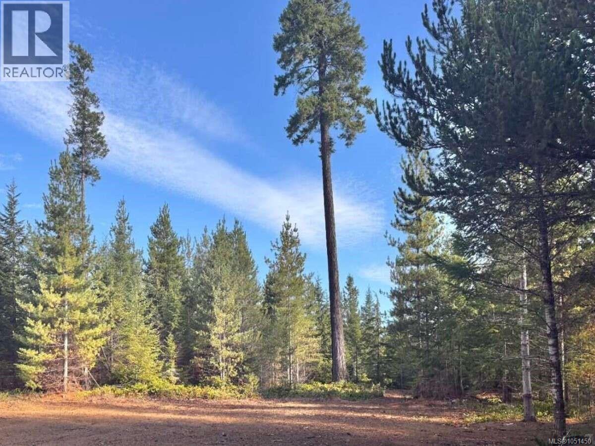 Lot B 6876 Danes Rd, Denman Island, British Columbia  V0R 1T0 - Photo 4 - 1051450
