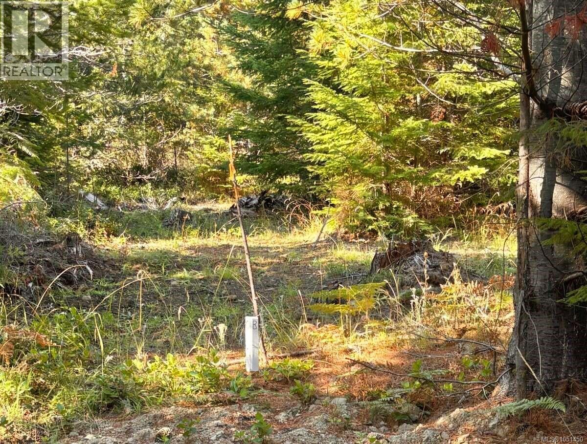 Lot B 6876 Danes Rd, Denman Island, British Columbia  V0R 1T0 - Photo 5 - 1051450