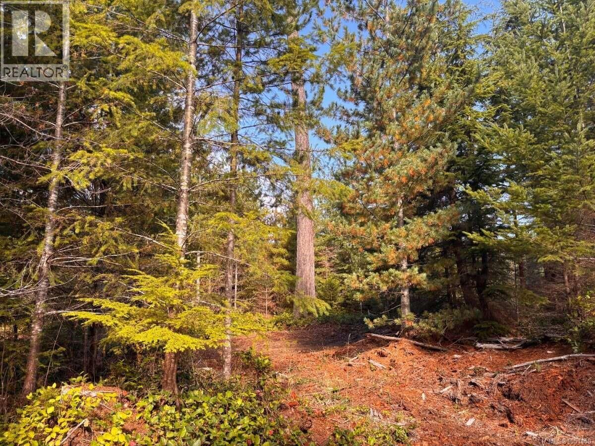 Lot B 6876 Danes Rd, Denman Island, British Columbia  V0R 1T0 - Photo 6 - 1051450