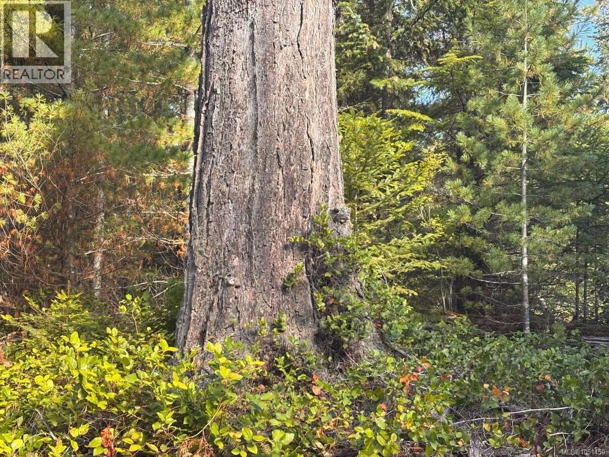 Lot B 6876 Danes Rd, Denman Island, British Columbia  V0R 1T0 - Photo 8 - 1051450