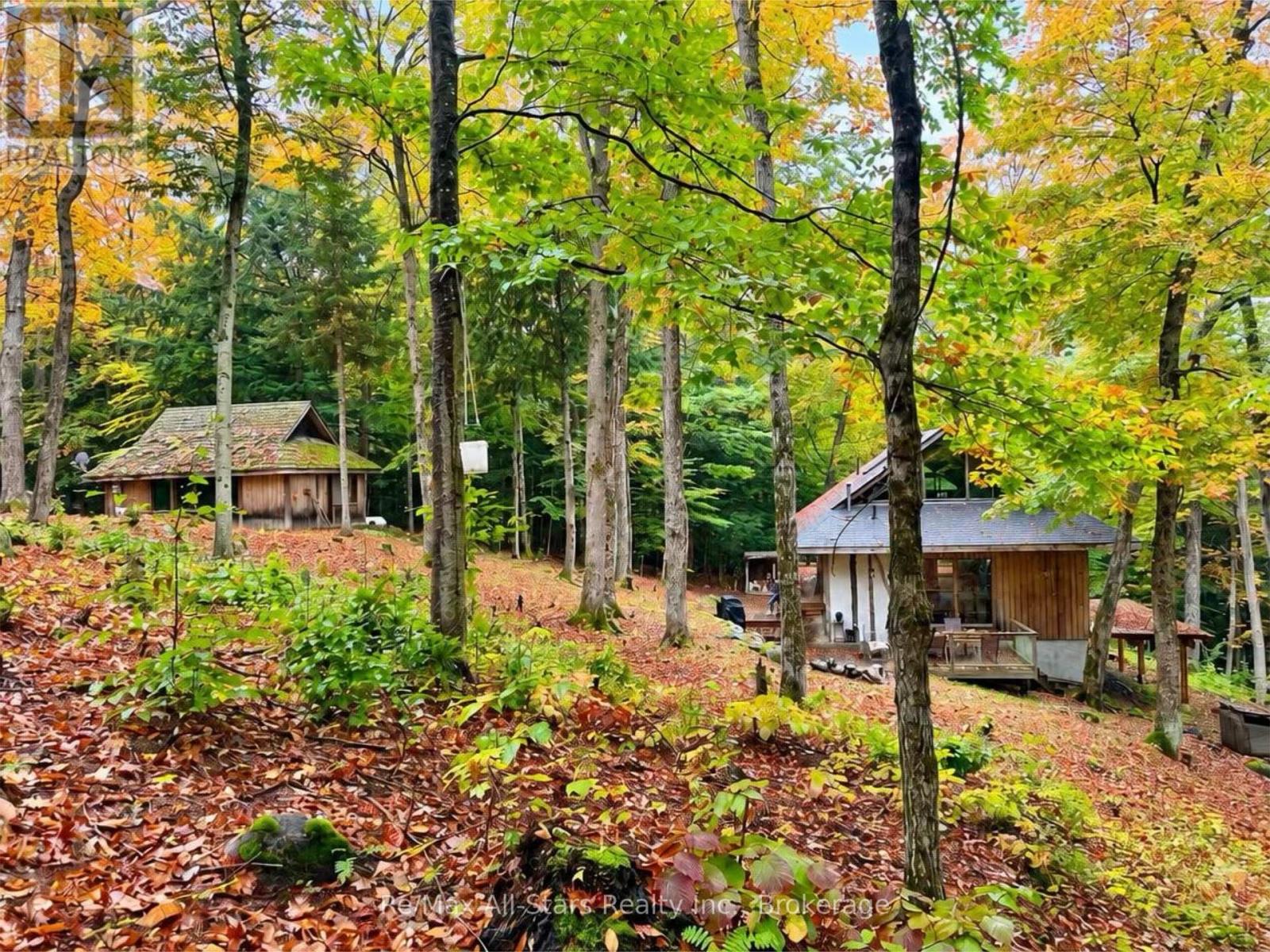 1005 Mcarthur Point Road, Lake Of Bays, Ontario  P0B 1A0 - Photo 30 - X13856992