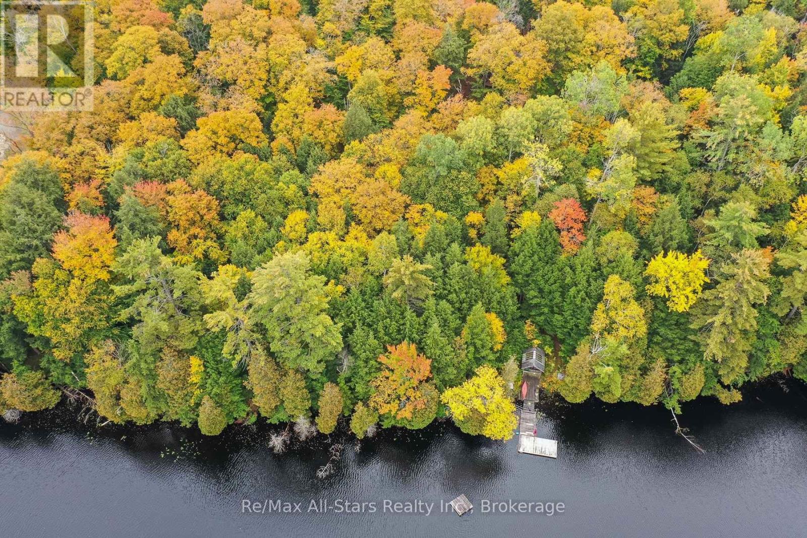 1005 Mcarthur Point Road, Lake Of Bays, Ontario  P0B 1A0 - Photo 34 - X13856992