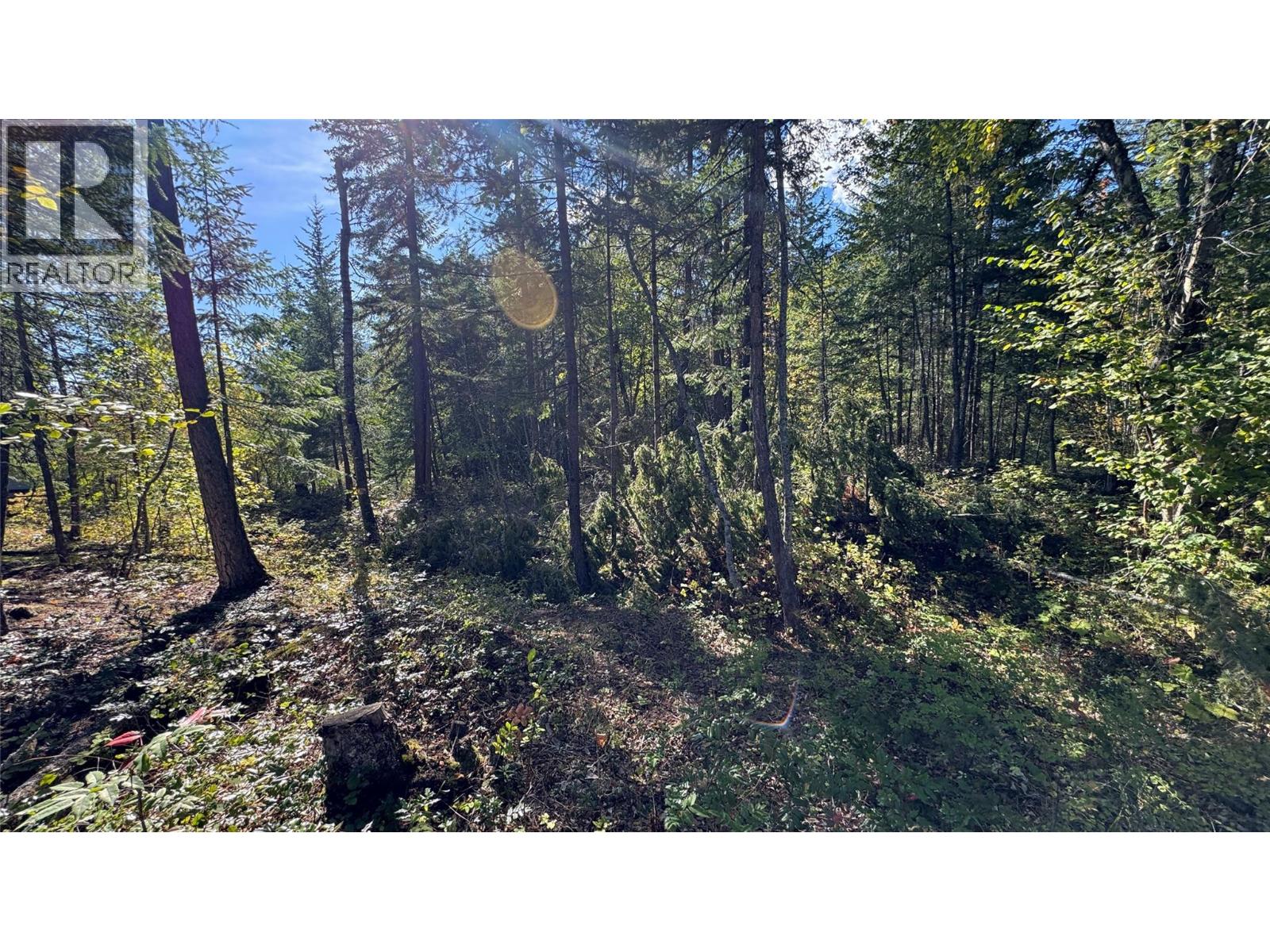Pine Ridge Road Lot# Lot 31