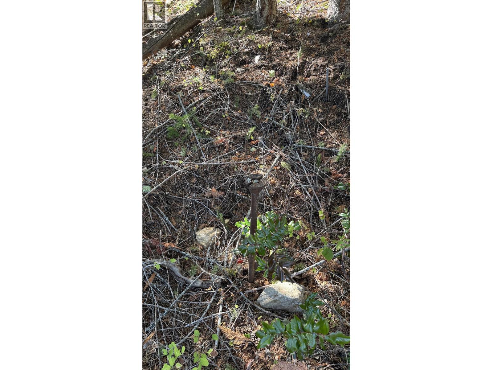 Pine Ridge Road Lot# Lot 31
