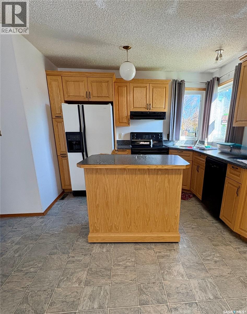 306 2nd Street W, Kyle, Saskatchewan  S0L 1T0 - Photo 3 - SK050233