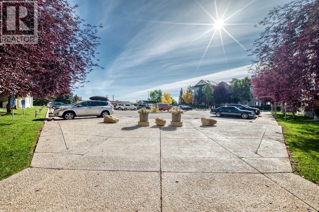 217, 2000 Somervale Court SW