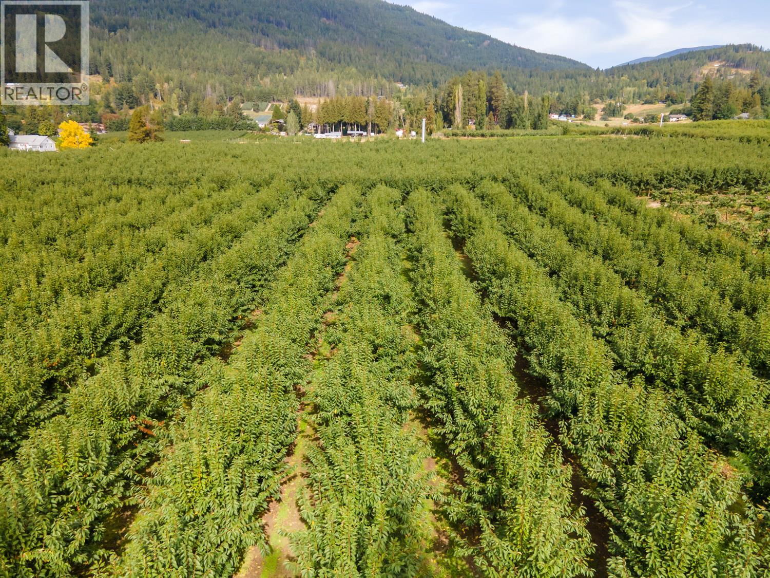 33rd Avenue N Lot# 2, Erickson, British Columbia  V0B 1G1 - Photo 11 - 10402192