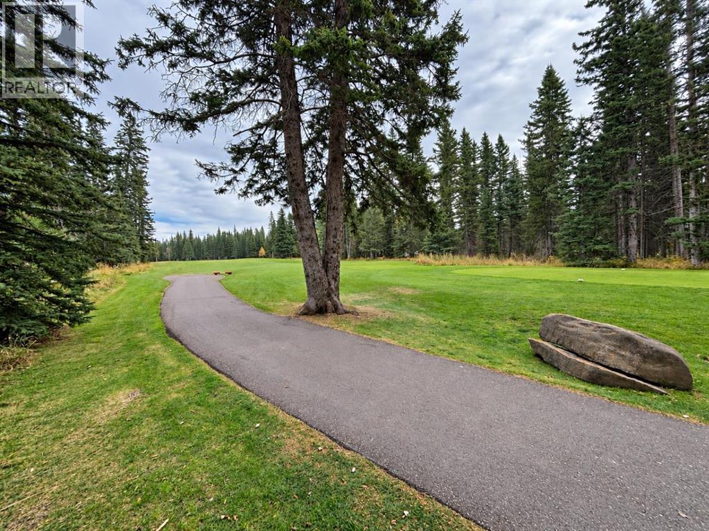 94 Redwood Meadows Drive, Rural Rocky View County, Alberta  T3Z 1A3 - Photo 5 - A2337790
