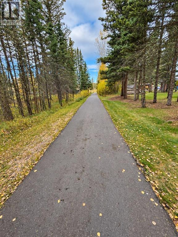94 Redwood Meadows Drive, Rural Rocky View County, Alberta  T3Z 1A3 - Photo 6 - A2337790
