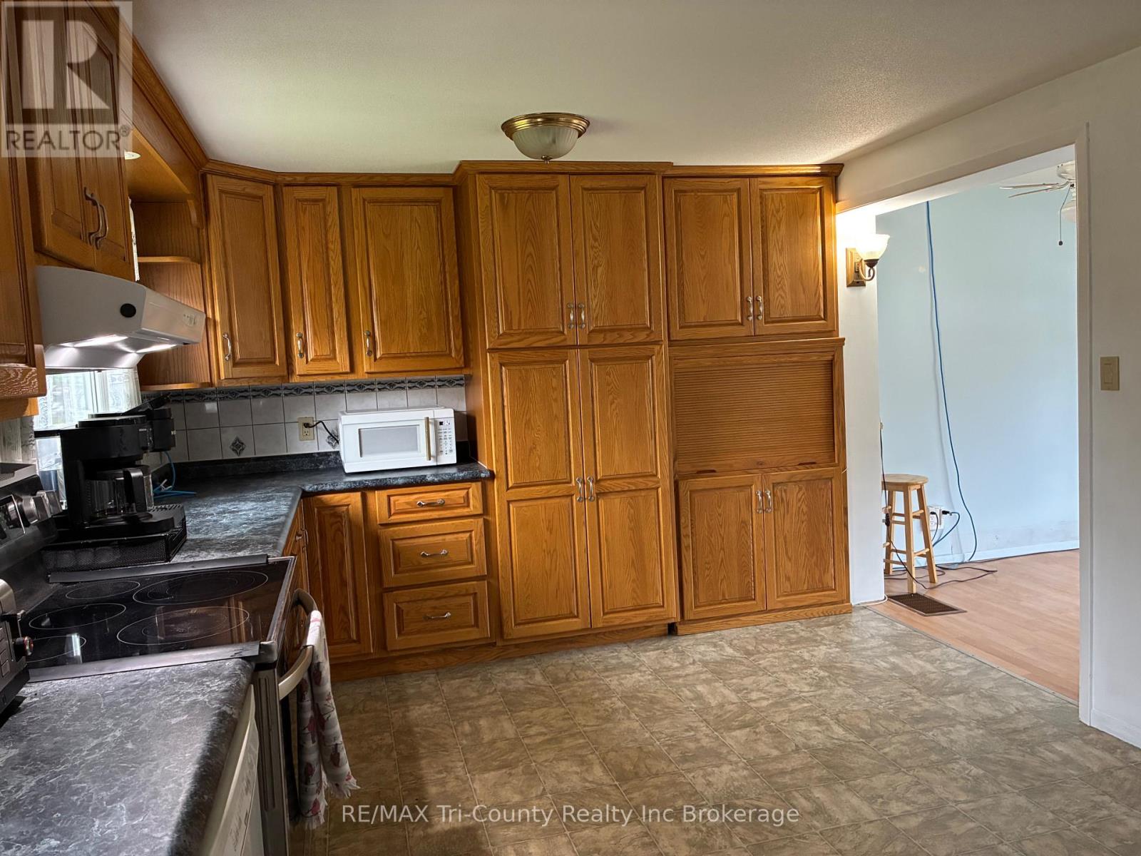 10 Elizabeth Street, Bayham, Ontario  N0J 1T0 - Photo 7 - X13857436