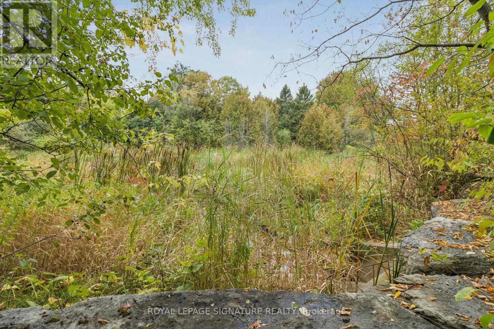 19 Ballymore Drive, Aurora, Ontario  L4G 7E6 - Photo 50 - N13857654