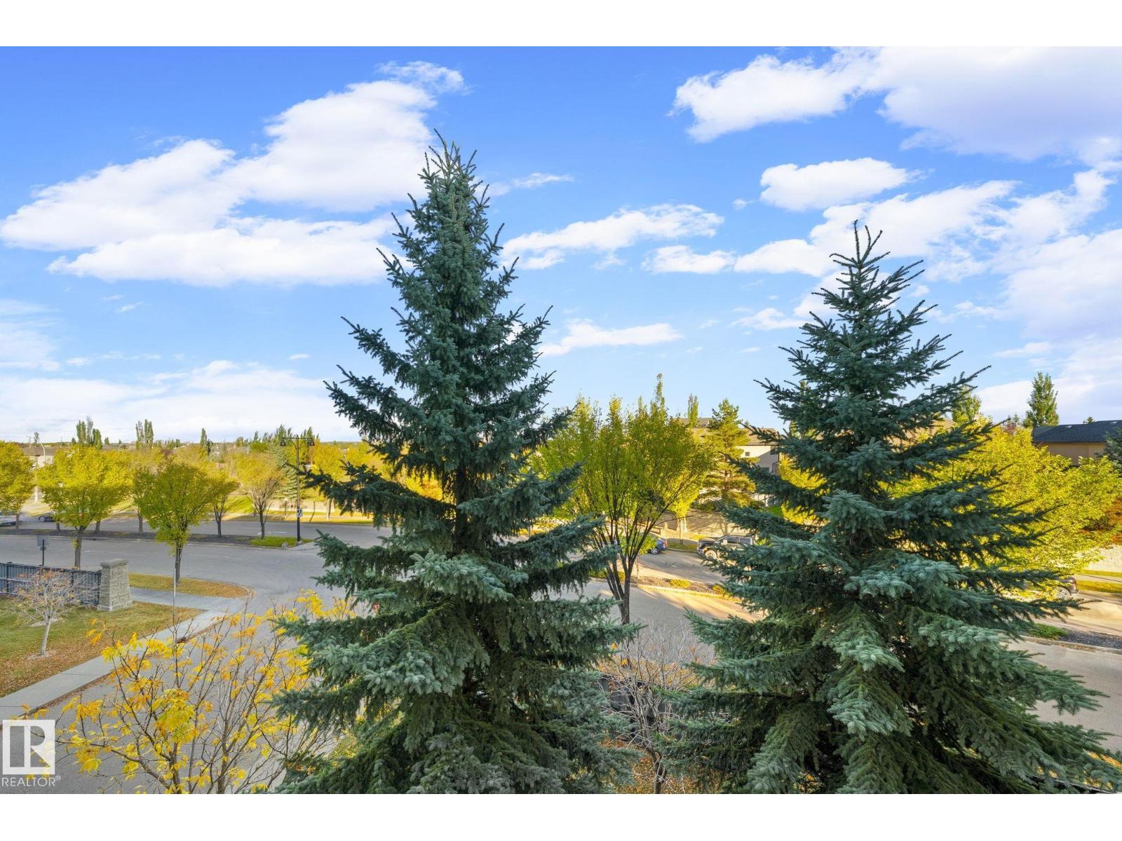 #332 160 Magrath Rd Nw, Edmonton, Alberta  T6R 3T7 - Photo 15 - E4511568