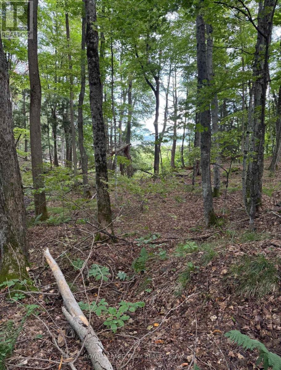 000 Windy Point Side Road, Lanark Highlands, Ontario K0A 3L0 - Photo 26 - X13750432