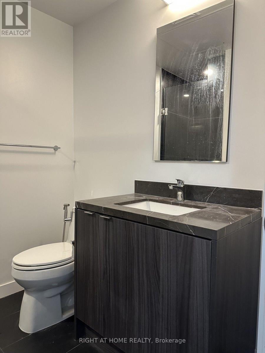 1202 - 125 Blue Jays Way, Toronto (Waterfront Communities), Ontario  M5V 0N5 - Photo 18 - C13857828
