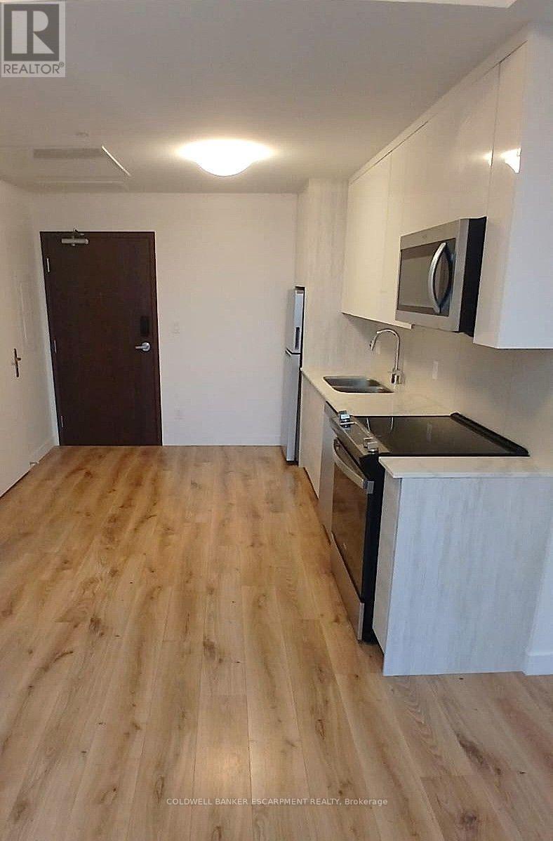 808 - 60 Frederick Street, Kitchener, Ontario  N2H 0C7 - Photo 4 - X13857902