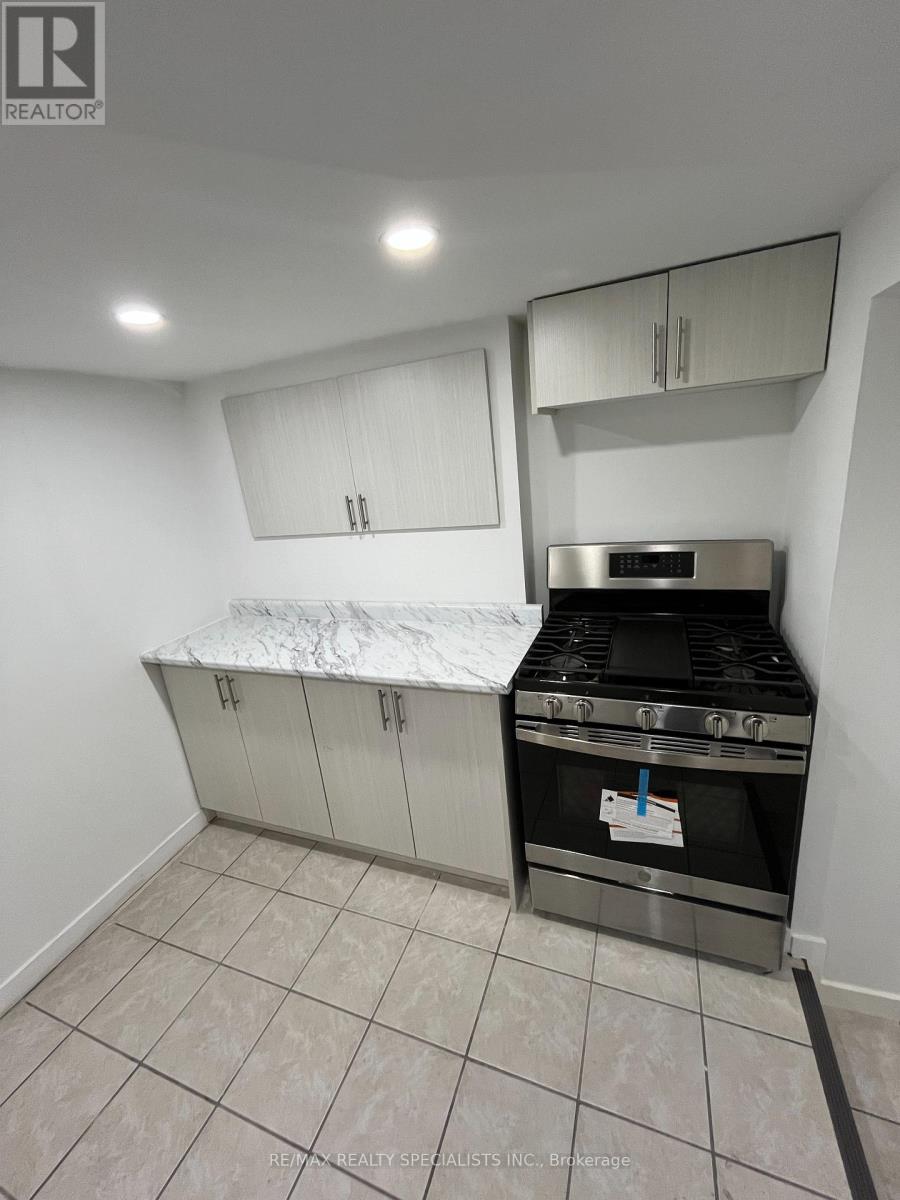 Lower - 68 East Avenue N, Hamilton, Ontario  L8L 5H5 - Photo 5 - X13729436