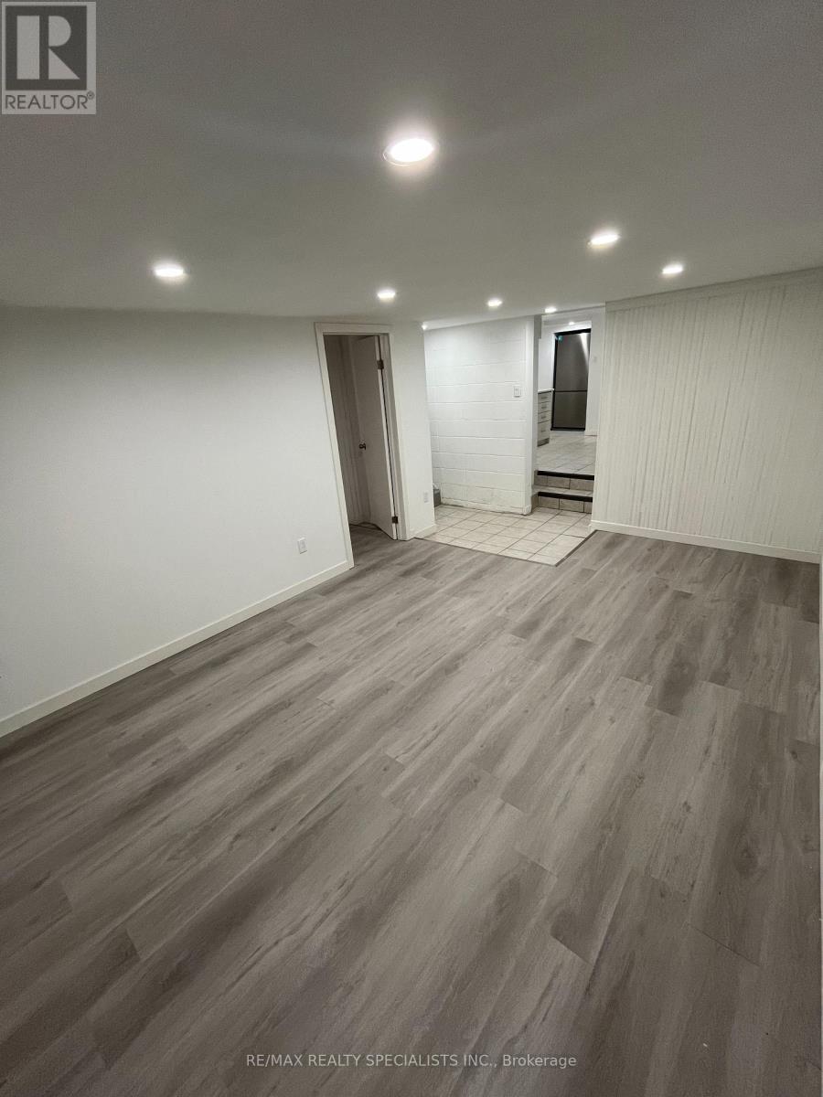 Lower - 68 East Avenue N, Hamilton, Ontario  L8L 5H5 - Photo 4 - X13729436