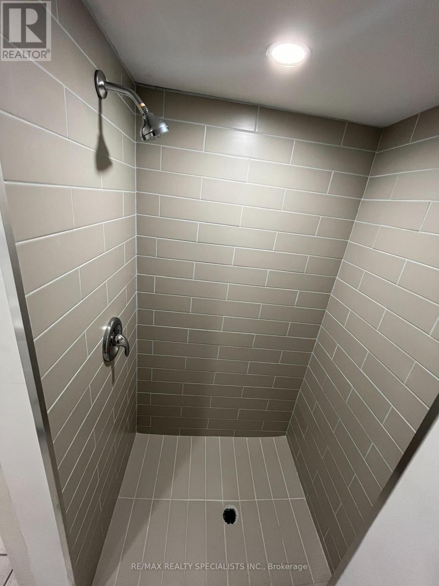 Lower - 68 East Avenue N, Hamilton, Ontario  L8L 5H5 - Photo 11 - X13729436