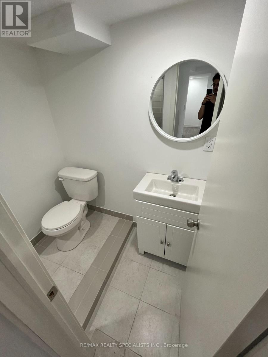 Lower - 68 East Avenue N, Hamilton, Ontario  L8L 5H5 - Photo 8 - X13729436