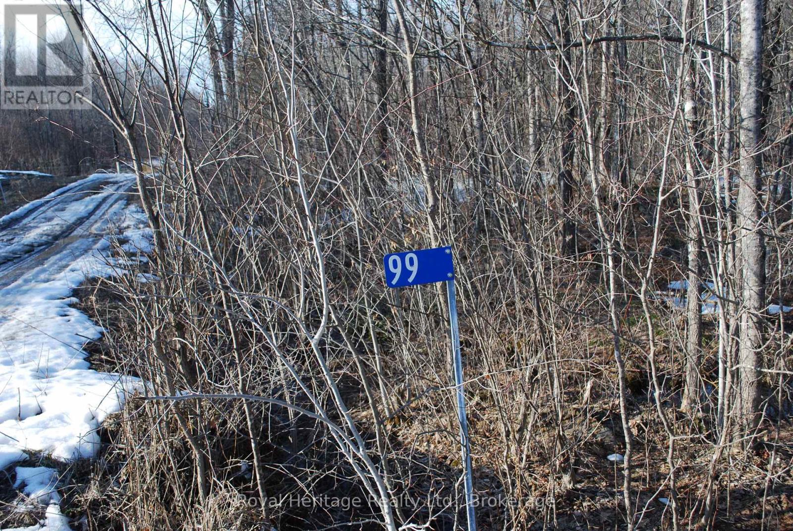 99 Future Lane, Stirling-Rawdon, Ontario  K0K 2M0 - Photo 11 - X13858268