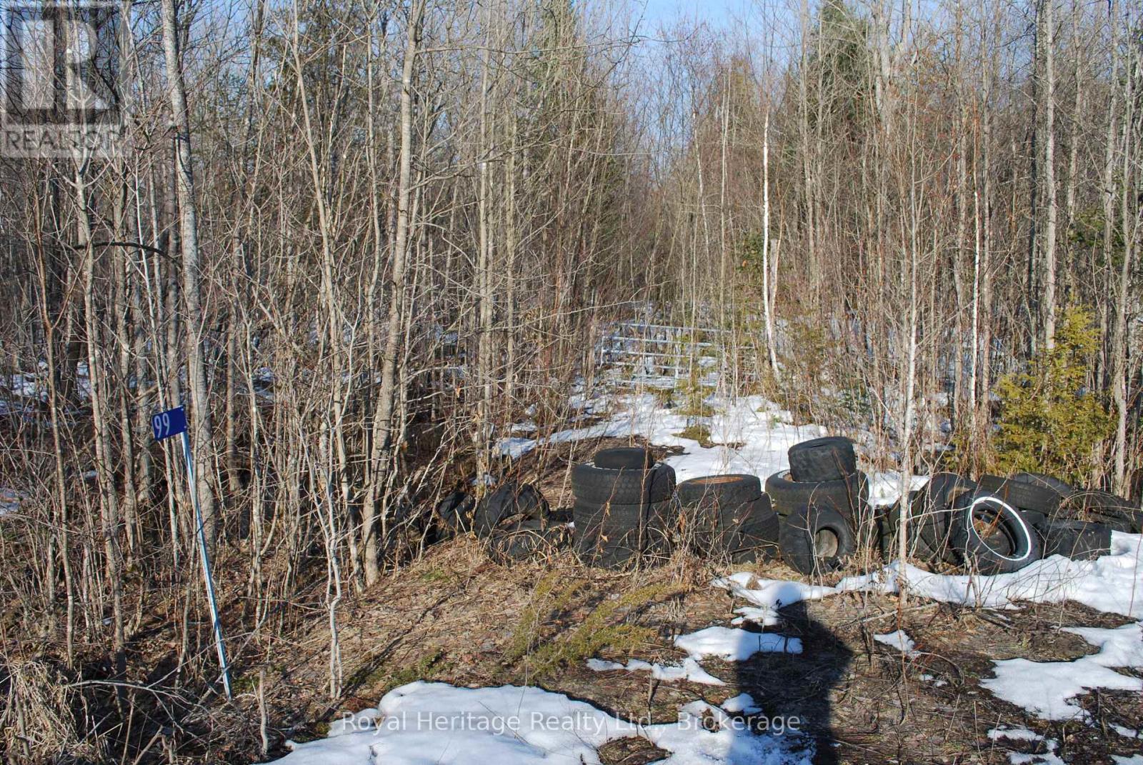 99 Future Lane, Stirling-Rawdon, Ontario  K0K 2M0 - Photo 12 - X13858268