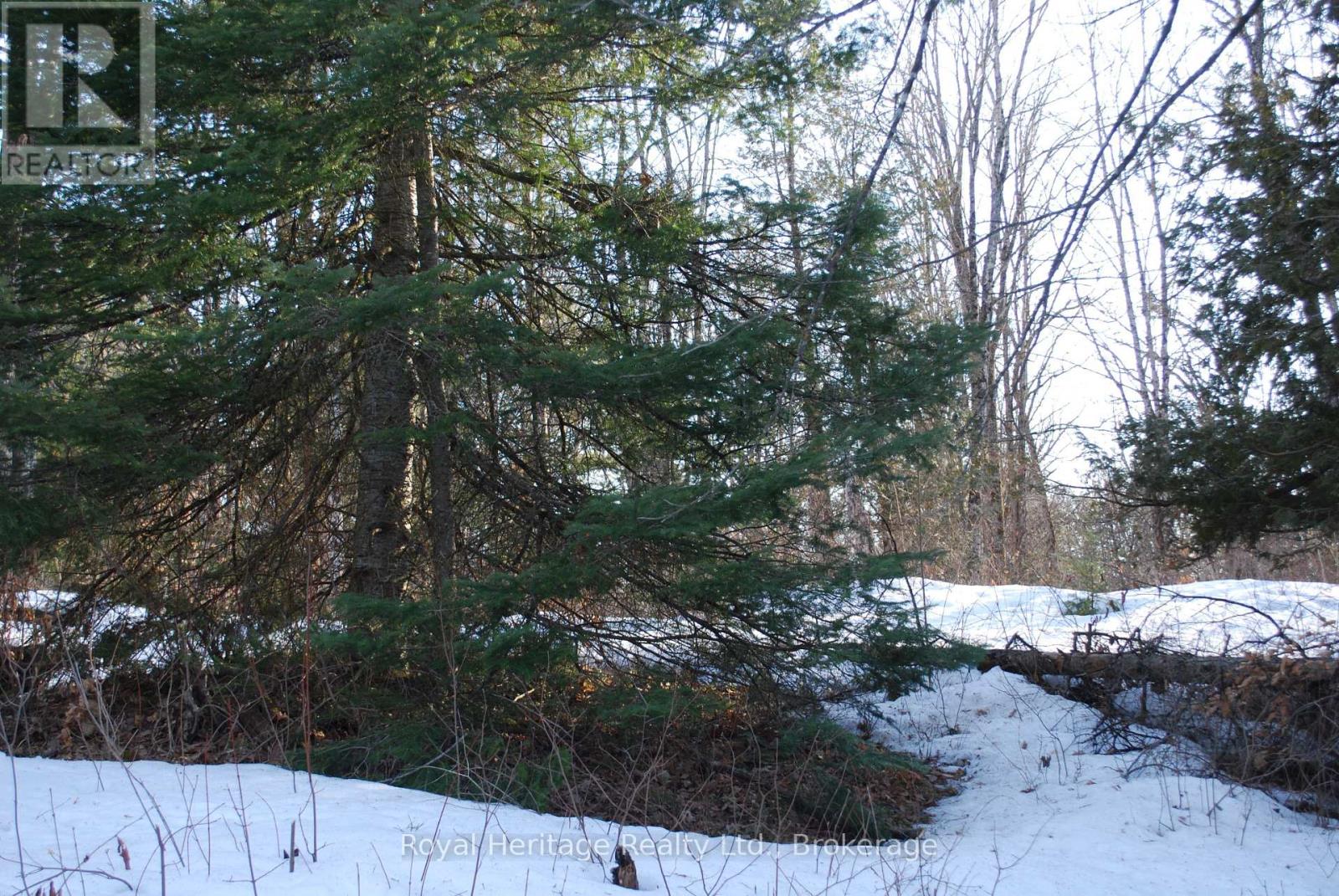 99 Future Lane, Stirling-Rawdon, Ontario  K0K 2M0 - Photo 8 - X13858268