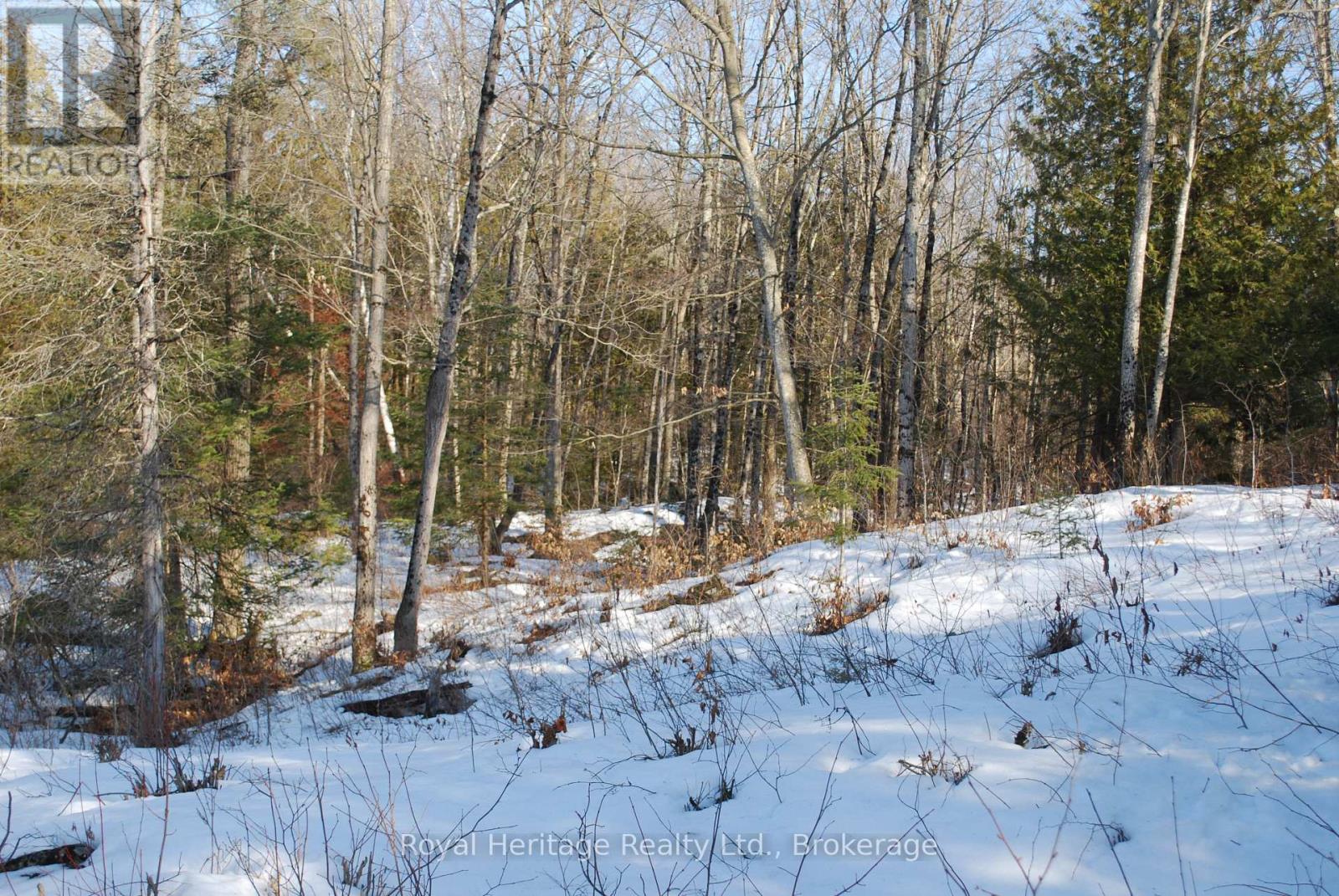 99 Future Lane, Stirling-Rawdon, Ontario  K0K 2M0 - Photo 9 - X13858268
