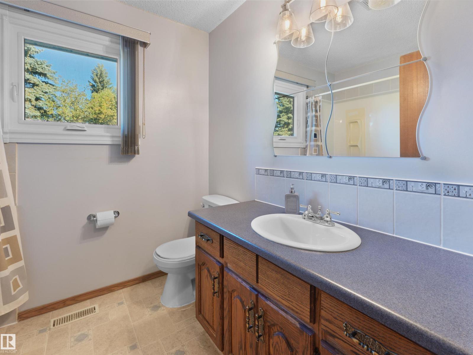 18528 98 Av Nw, Edmonton, Alberta  T5T 3J5 - Photo 18 - E4511620