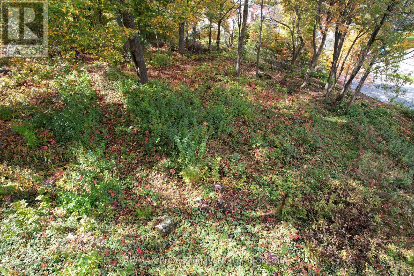 155 Main Street W, Huntsville, Ontario  P1H 1X8 - Photo 12 - X13756168
