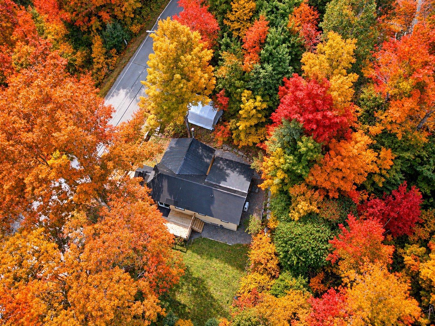 10 Ch. Mountain Bolton-Est Quebec Canada J0E1G0 5