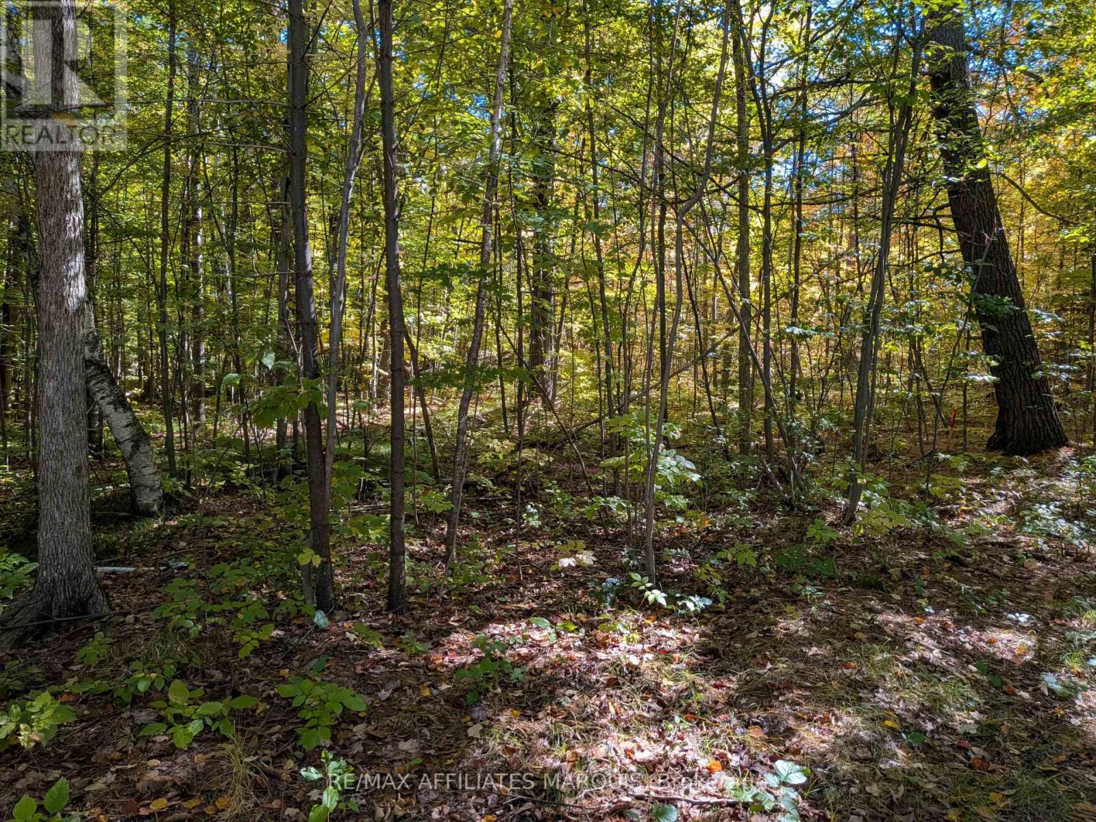 00 Highway 15 Road, Rideau Lakes, Ontario  K0G 1E0 - Photo 3 - X13061160