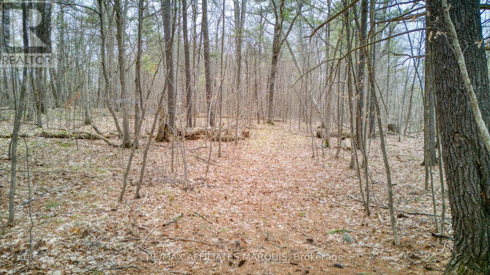 00 Highway 15 Road, Rideau Lakes, Ontario  K0G 1E0 - Photo 9 - X13061160