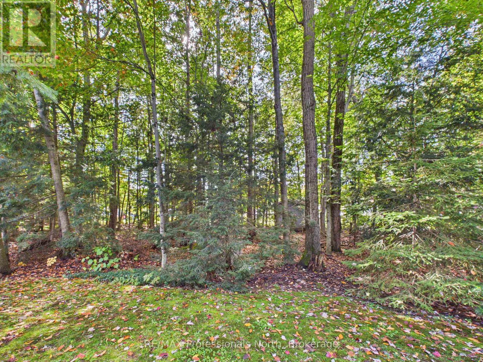 48 Springwood Crescent, Gravenhurst, Ontario  P1P 1Y8 - Photo 37 - X13858848