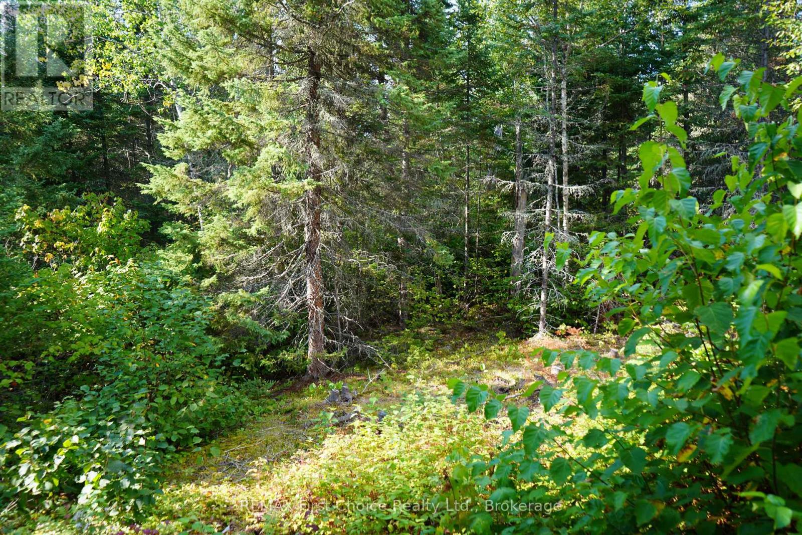 Lot 2 Gunn Lake Road, Kenora Remote Area (Minaki-Winnepeg River), Ontario  P0X 1J0 - Photo 39 - X13849690