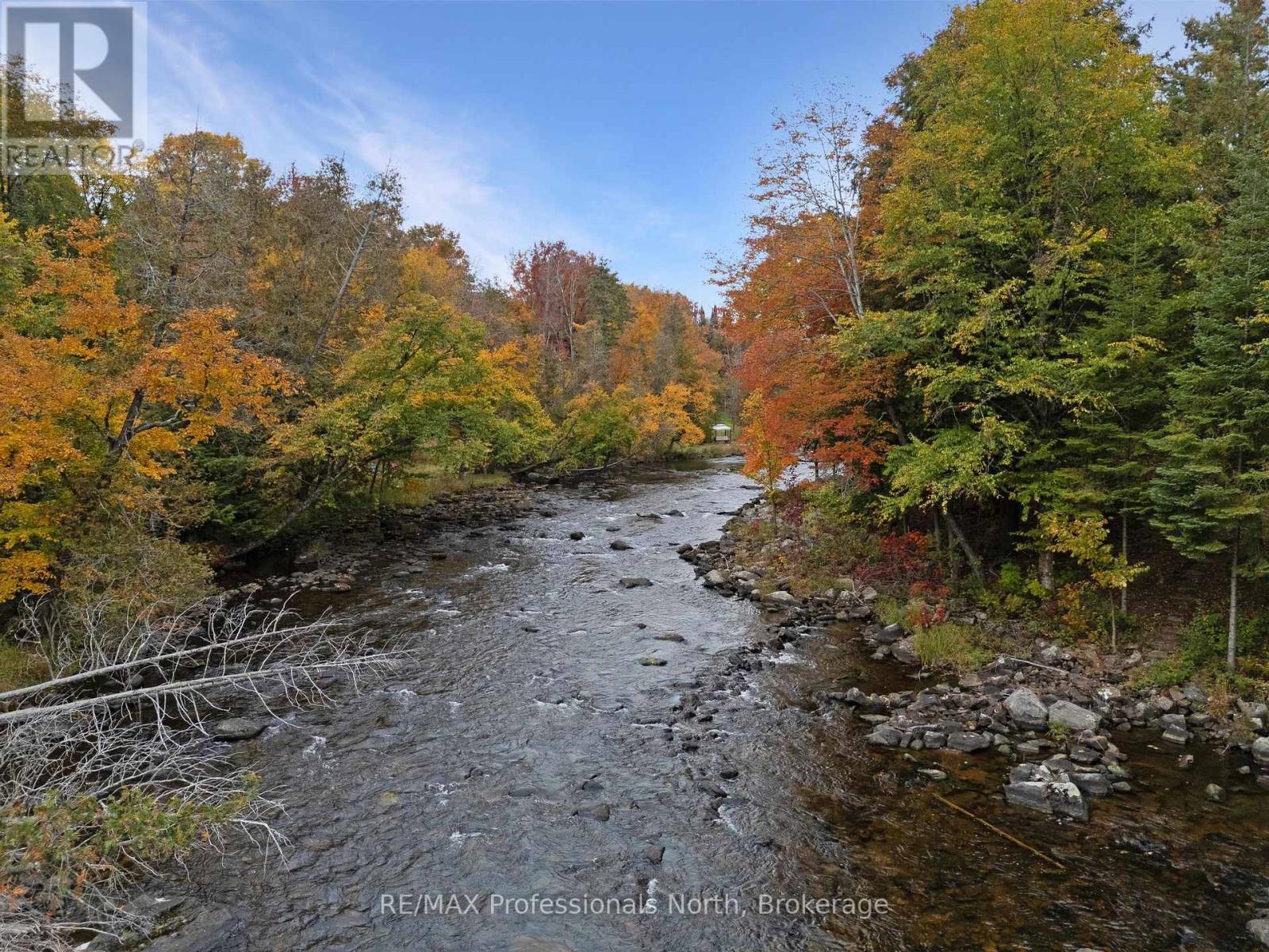 1086 Dragonfly Lane, Minden Hills (Snowdon), Ontario  K0M 2K0 - Photo 38 - X13858992