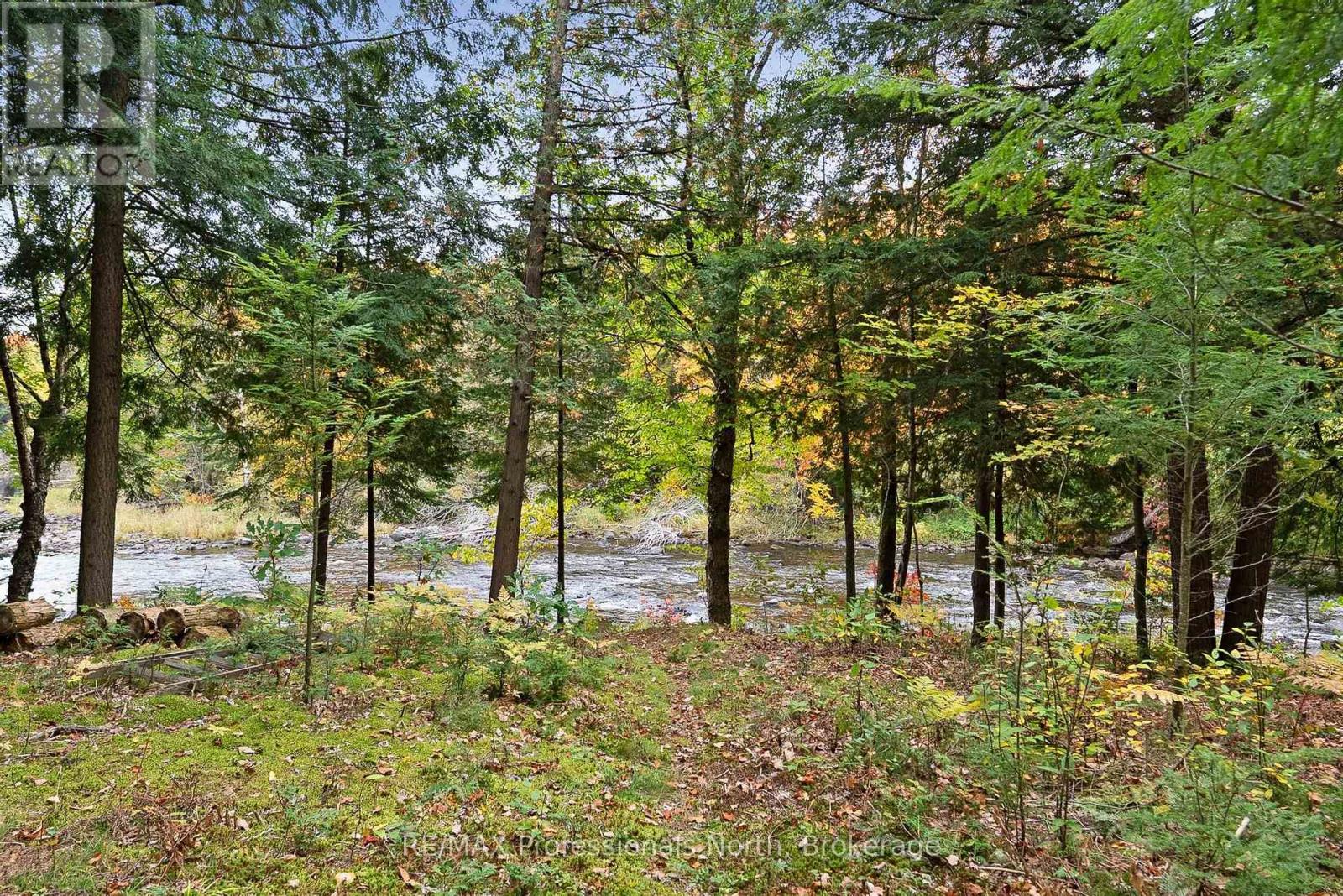 1086 Dragonfly Lane, Minden Hills (Snowdon), Ontario  K0M 2K0 - Photo 46 - X13858992