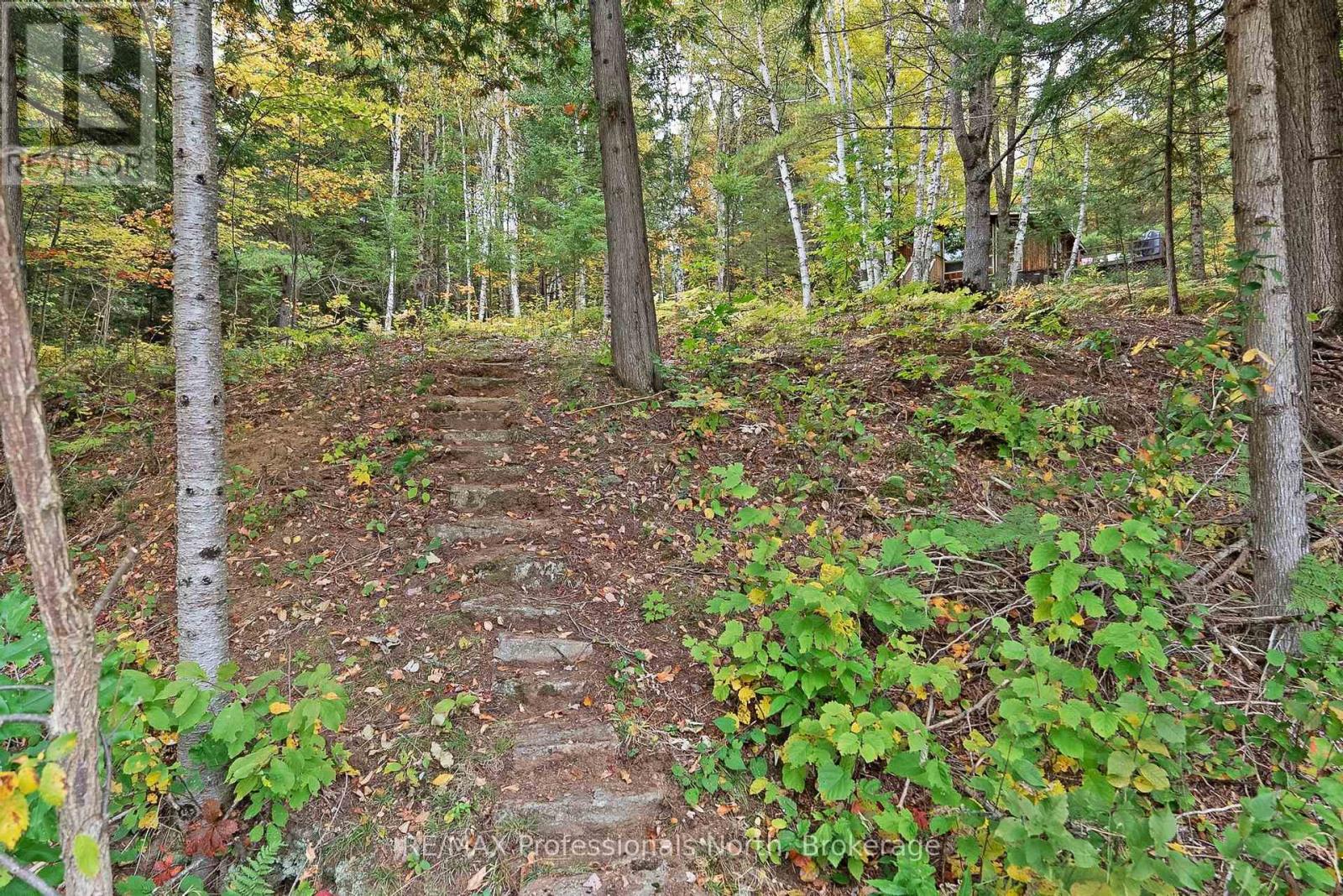 1086 Dragonfly Lane, Minden Hills, Ontario  K0M 2K0 - Photo 34 - X13858992