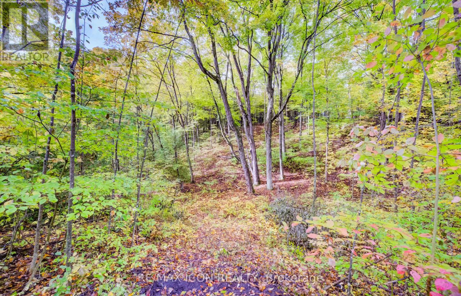 9562 Wellington Rd 16 Road, Wellington North, Ontario  N0G 1N0 - Photo 20 - X13859148