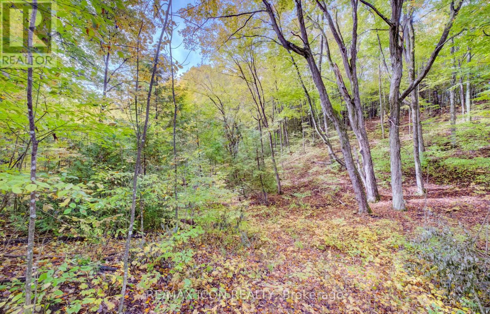 9562 Wellington Rd 16 Road, Wellington North, Ontario  N0G 1N0 - Photo 21 - X13859148